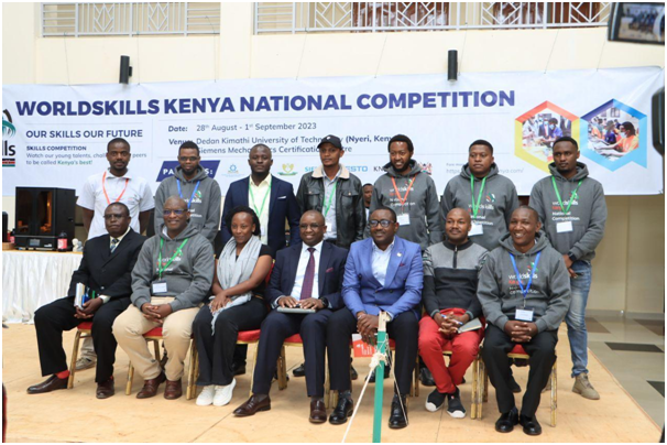 WorldSkill Image 5